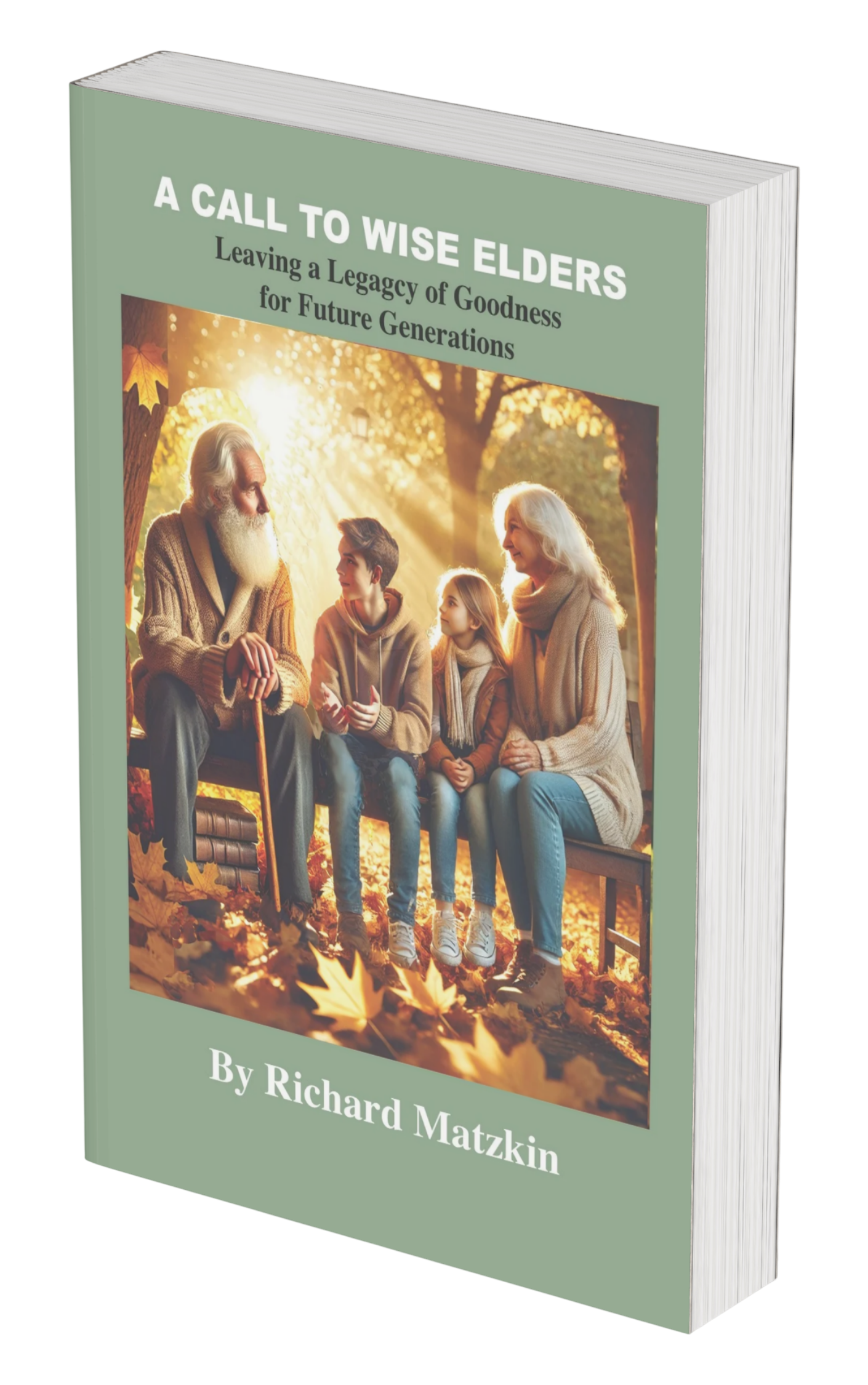 A Call to Wise Elders 3D Cover-No Background A Call to Wise Elders Cover 3D no background