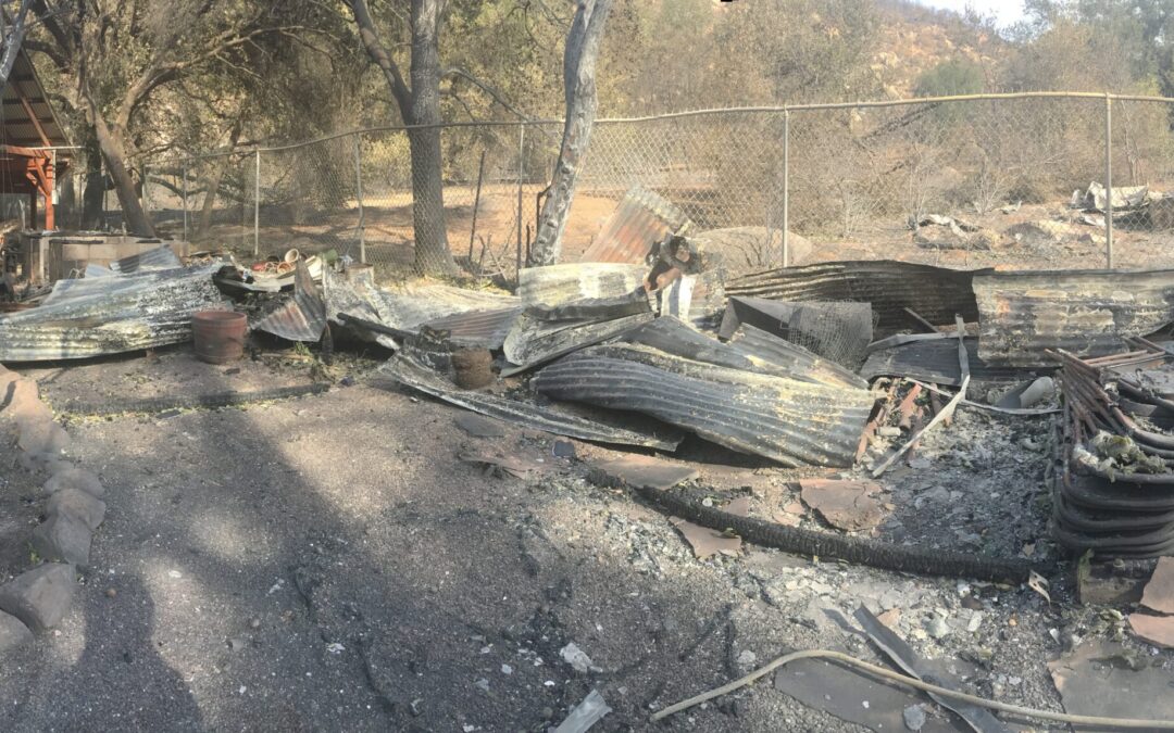 The Thomas Fire Consumed Her Artwork, But Artist Alice Matzkin is Still Painting at 85